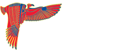 Airport Logo